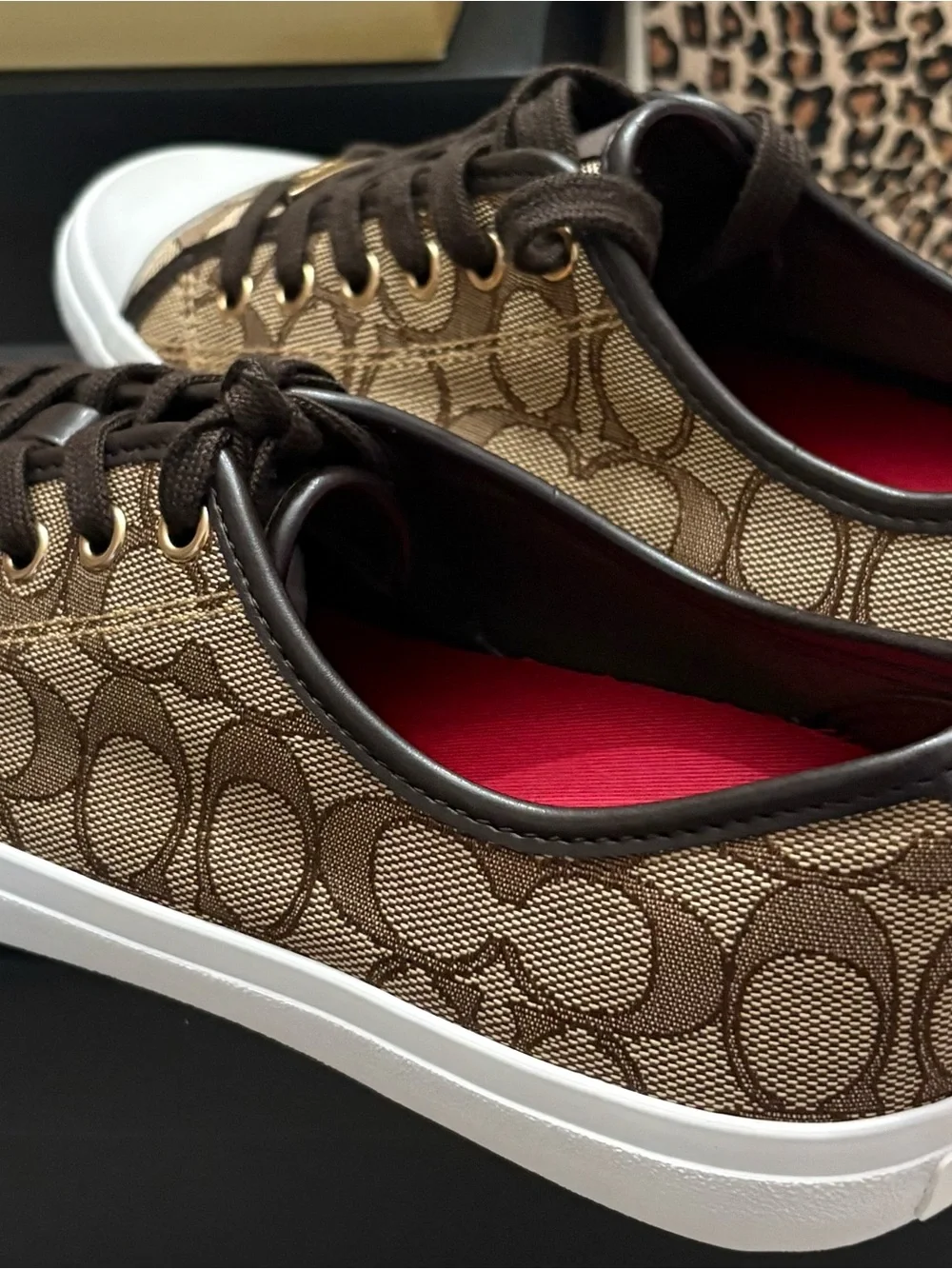 Coach casual low
